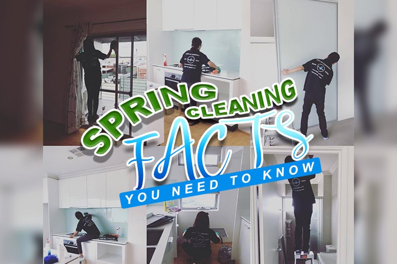 Spring Cleaning Ffacts