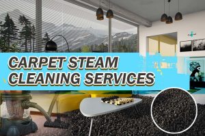 carpet-steam-cleaning