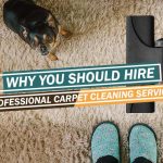 professional-carpet-cleaning-services